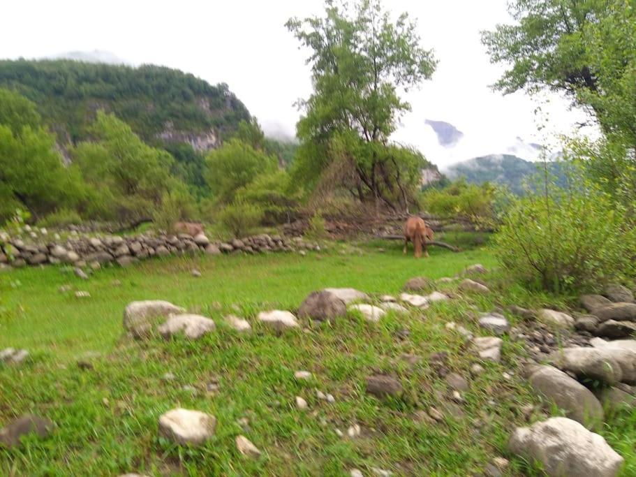 Apartamento Atico En Pleno Pirineo El Pueyo de Jaca Exterior foto